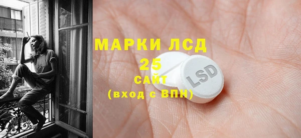 прущие грибы Алзамай