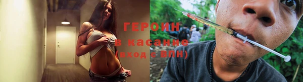 прущие грибы Алзамай